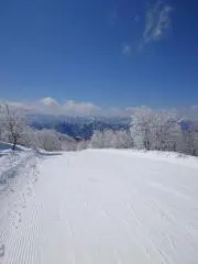 Danganの画像