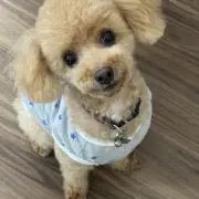 アツシの画像