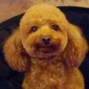 さちの画像