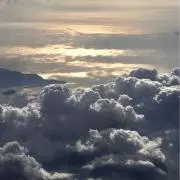 maruの画像