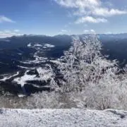 NORTHMANの画像
