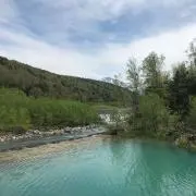 yの画像