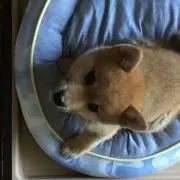 群青の画像
