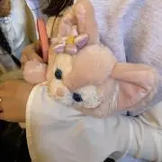 KYEの画像
