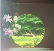 Aqoursの画像
