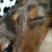 さぁー