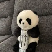 ボニーの画像