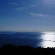 なぎの画像