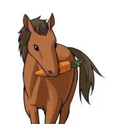 ゴンズさん専用熊本純粋馬油2キロ ゴンズさん専用熊本純粋馬油2キロ - メルカリ