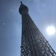 てんの画像