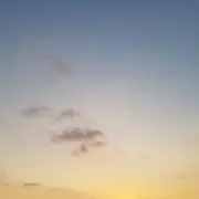 さな太郎の画像