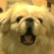 Hiro