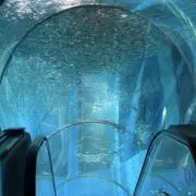 サリー