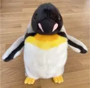 ショコラの画像