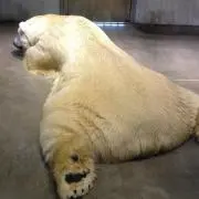 mktnの画像