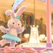 楓。の画像