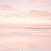 MOAの画像