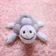 まめむた