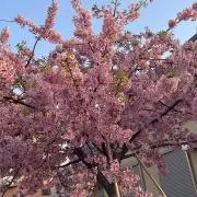 A  プロフ必読の画像
