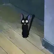 たまねぎの画像