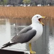 Take.の画像