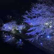 aykの画像
