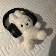 うさぎの画像