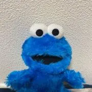 ごろの画像