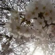 心海