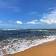 マルイの画像