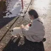 nnの画像