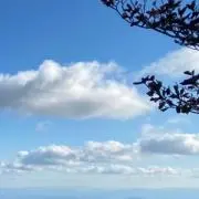 高見の画像