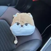 mapimapiの画像