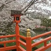アメージュの画像