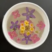 ゆうの画像