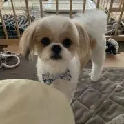 ちょこぜりー⌘プロフお読み下さい⌘