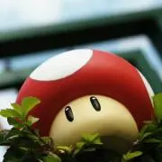 こう。