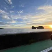 みかんの画像