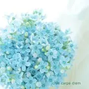 ami°ikuの画像