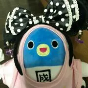 べっちゃんの画像