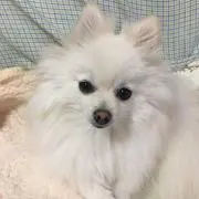 ☺︎の画像