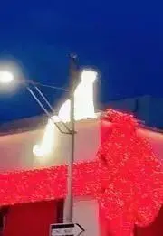 ちゃちゃの画像