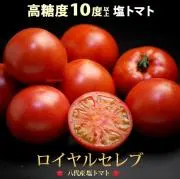Tomato専門家の画像