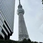 わの画像