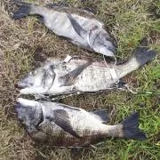 釣り好きの画像