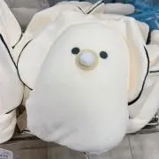 ぽむの画像