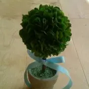 ちぃさんの画像