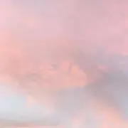 Taの画像