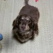 やっちん
