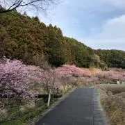 ダッチ